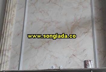 Lịch đào tạo kỹ thuật sơn năm 2015